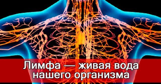 ОЖИВИ ЛИМФАТИЧЕСКУЮ СИСТЕМУ И ПРЕДОТВРАТИ РАЗВИТИЕ РАКОВЫХ КЛЕТОК! ВОТ 10 СПОСОБОВ СДЕЛАТЬ ЭТО!