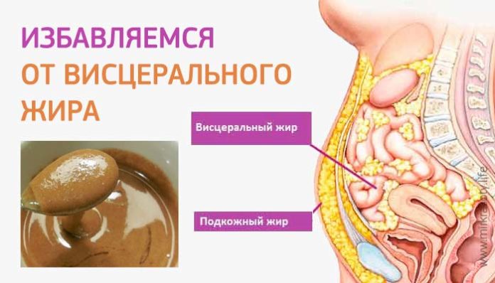 Вот как избавиться от висцерального жира! Вот как избавиться от висцерального жира!