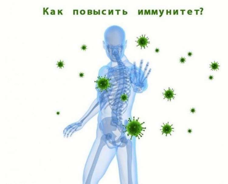 12 необычных средств для укрепления иммунитета 12 необычных средств для укрепления иммунитета