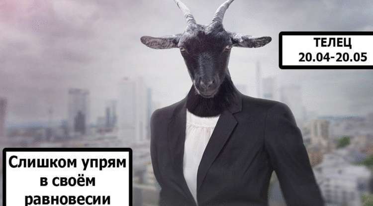 Узнаем наши слабости по знаку зодиака Узнаем наши слабости по знаку зодиака