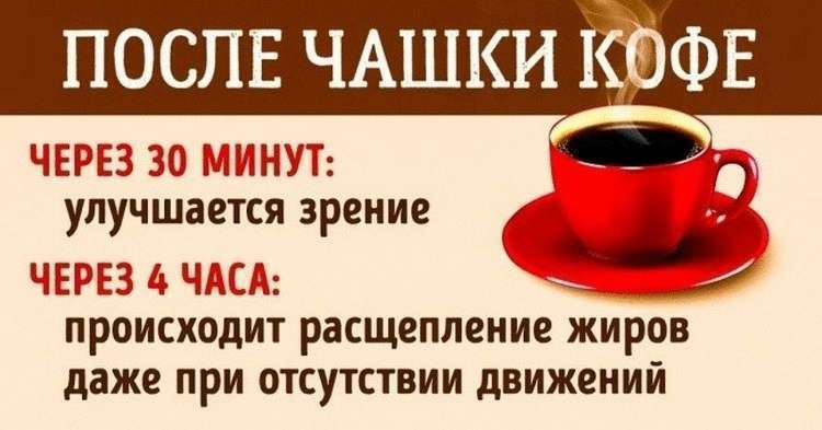 Действие кофеина: что происходит с организмом после чашки кофе