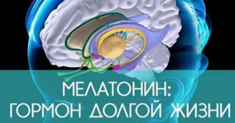 Черновик Черновик