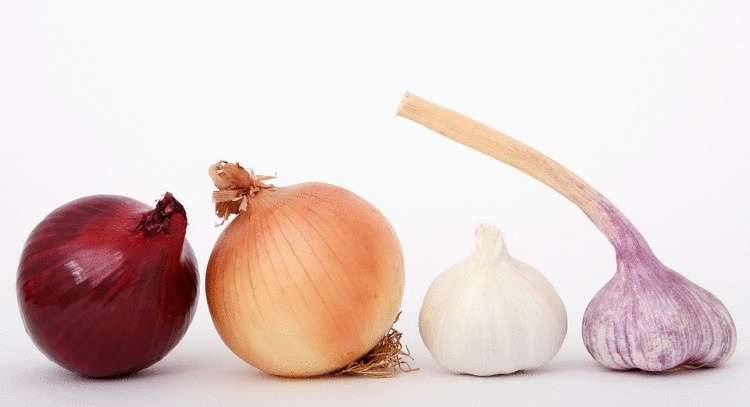 Список продуктов для здоровья суставов