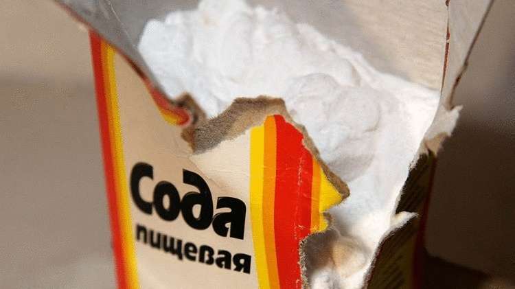 Как быстро и недорого избавится от плесени