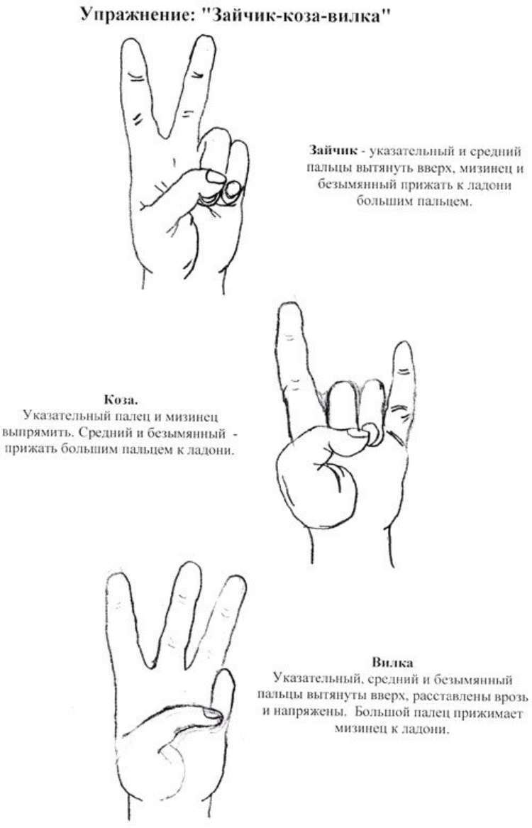 Кинезиологические упражнения для детей: улучшение памяти и внимания Кинезиологические упражнения для детей: улучшение памяти и внимания