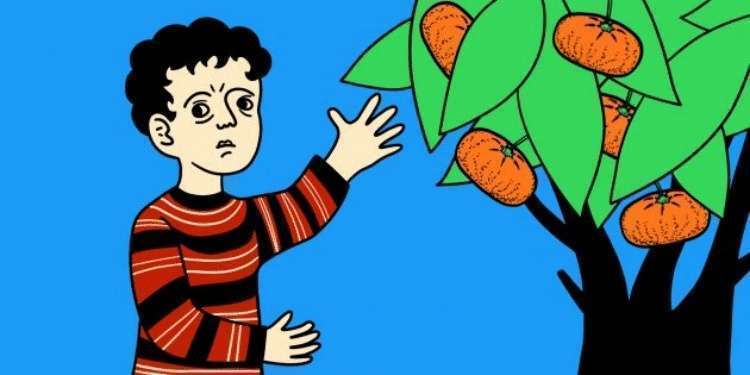 Проверьте себя. Задачи на логику и смекалку