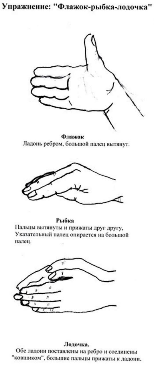 Кинезиологические упражнения для детей: улучшение памяти и внимания Кинезиологические упражнения для детей: улучшение памяти и внимания