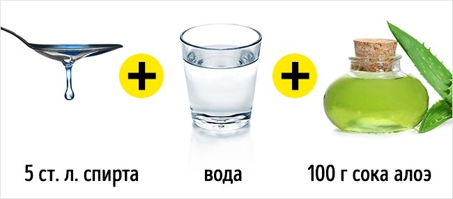 5 свойств алоэ, ради которых стоит посадить его дома