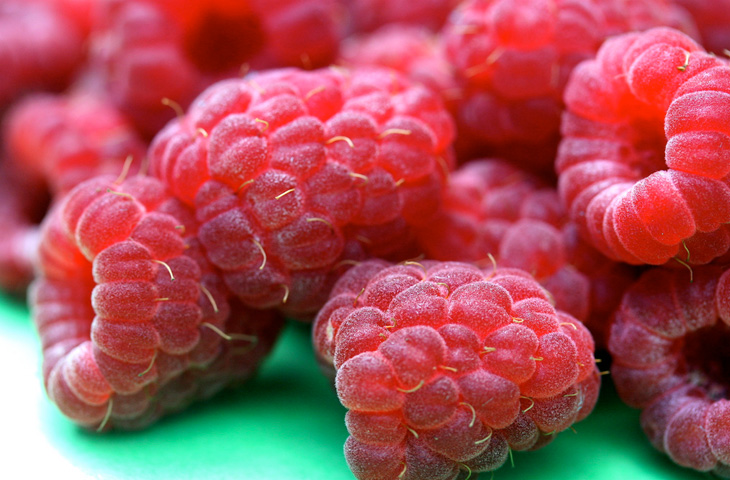 10 правил завтрака, на которые обращают внимание даже ученые 10 правил завтрака, на которые обращают внимание даже ученые