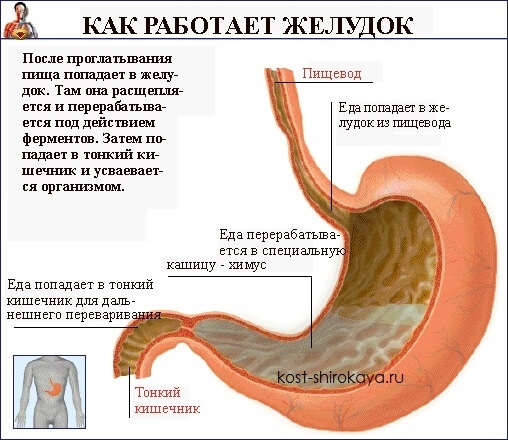 Зачем пить воду во время еды?