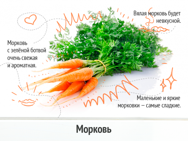 Выбираем вкусные и свежие овощи… Главное – знать!