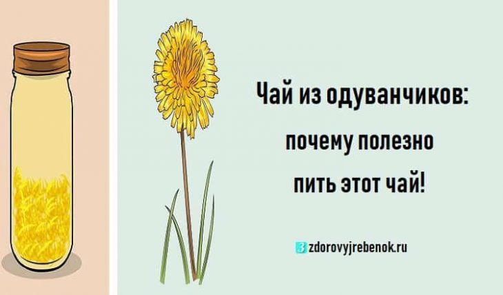Чай из одуванчиков: почему полезно пить этот чай!