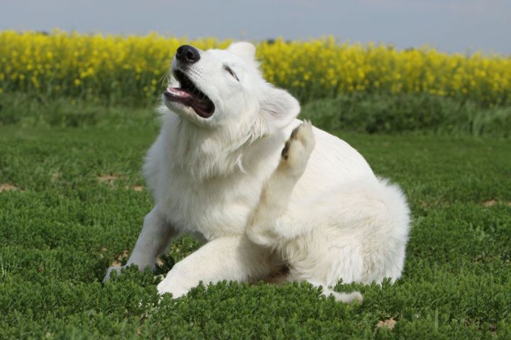 20 применений кофейной гущи, о которых вы не знали 20 применений кофейной гущи, о которых вы не знали