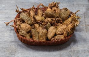 Предупреждение! Не ешь такой картофель, в нём яды.