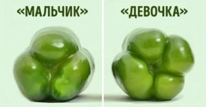 Хозяйка положила в морозилку 2 луковицы. Узнав зачем, следую этому трюку безоговорочно!