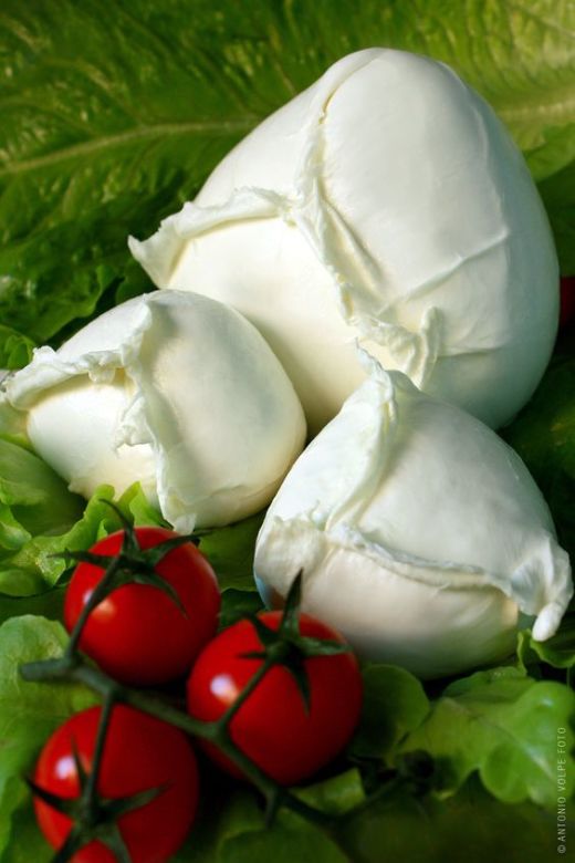 Домашняя моцарелла. Вкуснее магазинной, а готовится за полчаса! Домашняя моцарелла. Вкуснее магазинной, а готовится за полчаса!