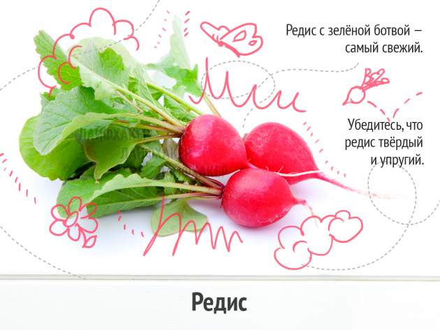 Выбираем вкусные и свежие овощи… Главное – знать!