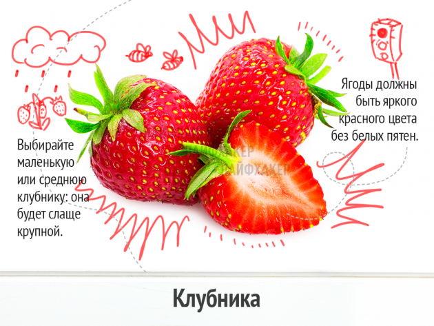 Выбираем вкусные и свежие овощи… Главное – знать!