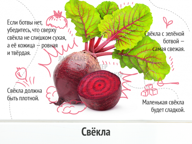 Выбираем вкусные и свежие овощи… Главное – знать!