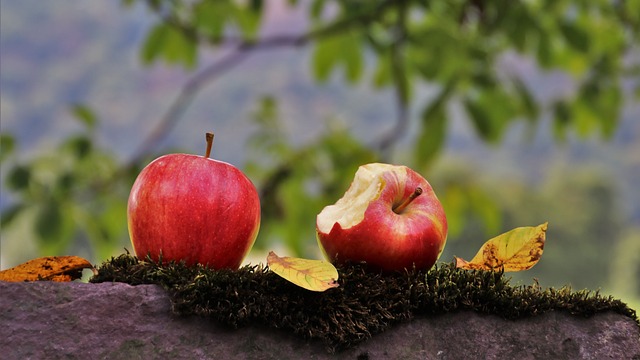 ТОП 6 продуктов, которые нужно есть осенью чтобы быть здоровыми целый год.