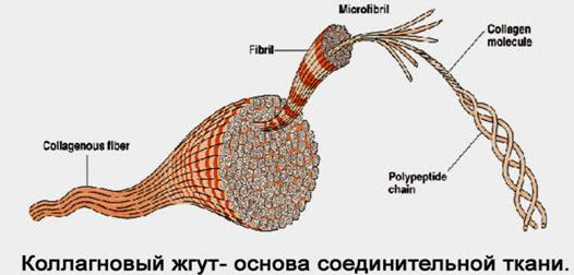 Через 7 дней Вы забудете о таких проблемах, как боли в ногах, суставах или спине Через 7 дней Вы забудете о таких проблемах, как боли в ногах, суставах или спине