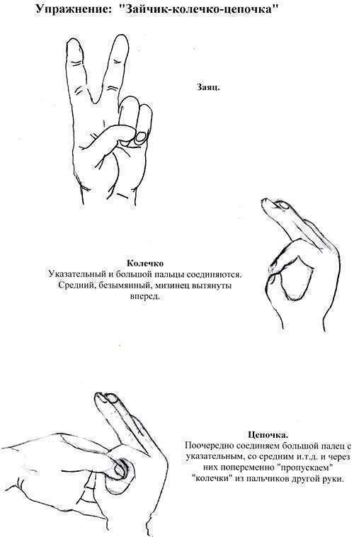 Кинезиологические упражнения для детей: улучшение памяти и внимания Кинезиологические упражнения для детей: улучшение памяти и внимания