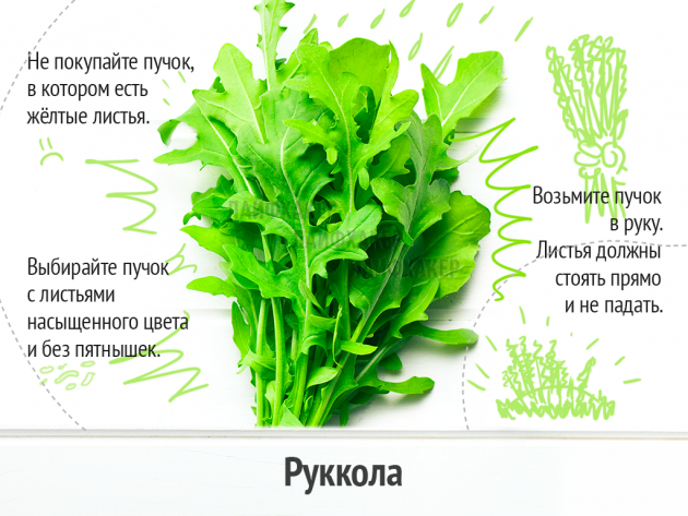 Выбираем вкусные и свежие овощи… Главное – знать!
