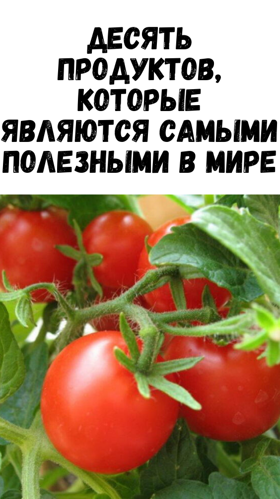 Десять продуктов, которые являются самыми полезными в мире