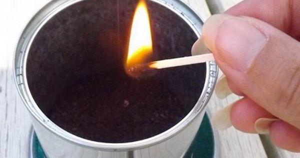 Простой трюк, который избавит от комаров в доме. Дешево и экологично!