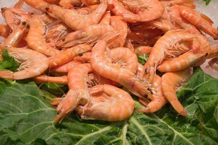 Креветки: какие вкуснее, как выбрать, чем полезен панцирь и другие интересные факты Креветки: какие вкуснее, как выбрать, чем полезен панцирь и другие интересные факты