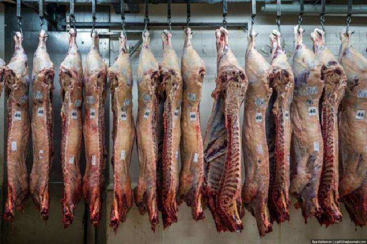 Что будет, если люди перестанут есть мясо Что будет, если люди перестанут есть мясо