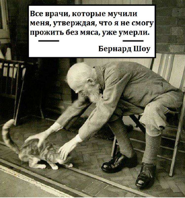 Что будет, если люди перестанут есть мясо Что будет, если люди перестанут есть мясо