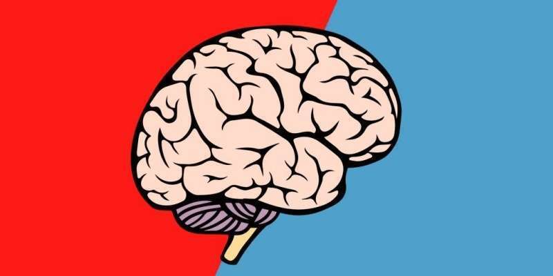 Как запоминать больше, используя метод 50/50 Как запоминать больше, используя метод 50/50