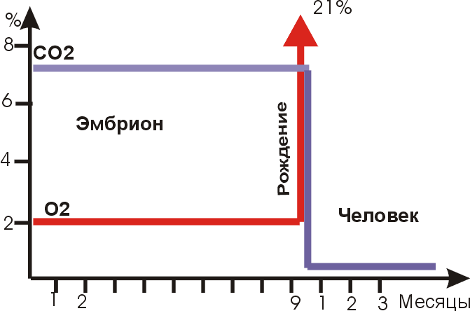 Черновик Черновик