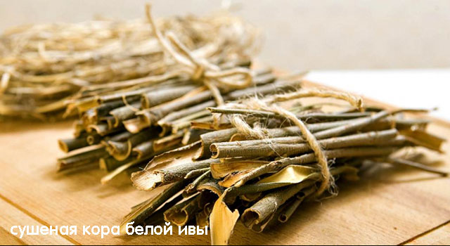 Растения для похудения