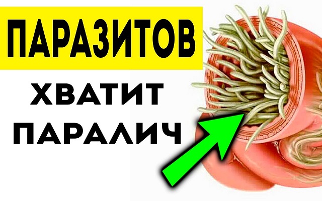 ГЛИСТЫ ЗА НОЧЬ ВЫЛЕТЯТ «ПУЛЕЙ» — НАРОДНОЕ СРЕДСТВО и рецепт ВАНГИ ОТ ПАРАЗИТОВ.