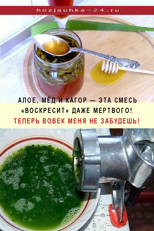 АЛОЕ, МЁД И КАГОР — ЭТА СМЕСЬ «ВОСКРЕСИТ» ДАЖЕ МЕРТВОГО! ТЕПЕРЬ ВОВЕК МЕНЯ НЕ ЗАБУДЕШЬ!