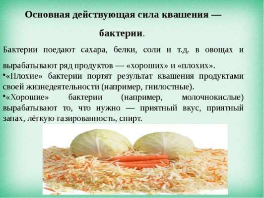 В чем опасность квашеной капусты, которая считается полезным продуктом