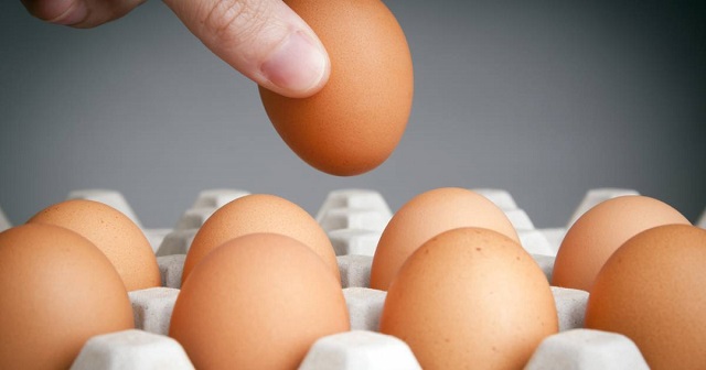 20 суперских фактов-подсказок, с которыми вы не пропадёте
