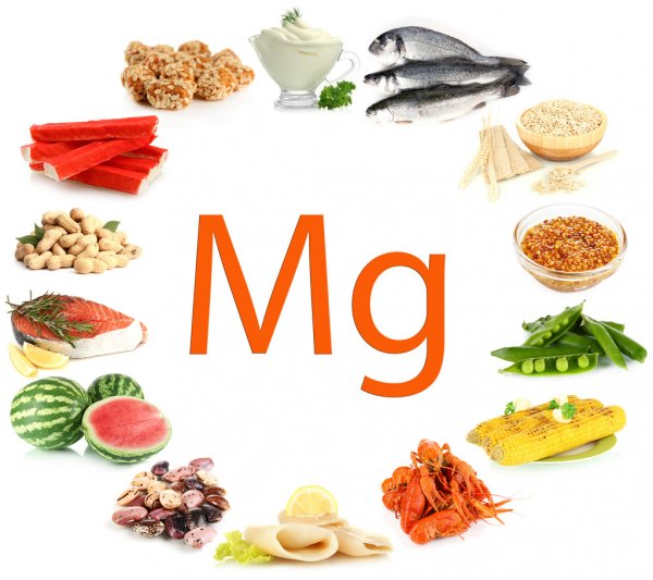 Продукты, с наибольшим содержанием магния