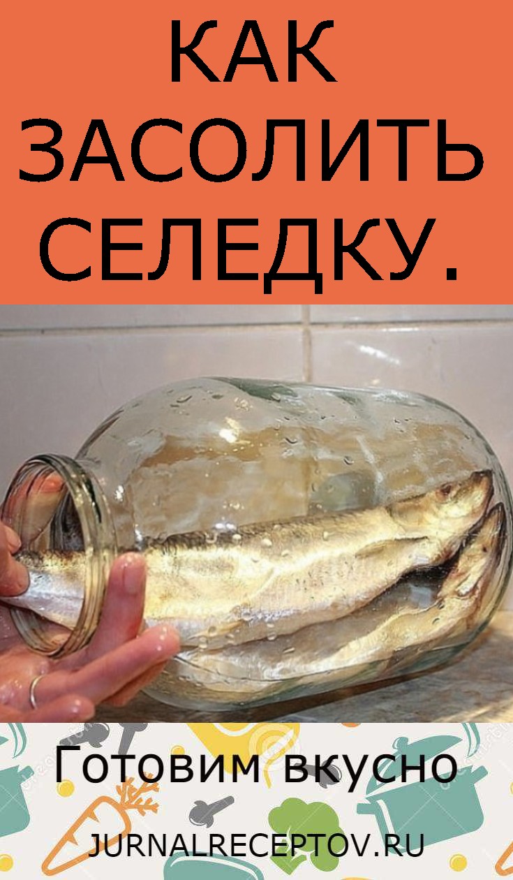 КАК ЗАСОЛИТЬ СЕЛЕДКУ. КАК ЗАСОЛИТЬ СЕЛЕДКУ.
