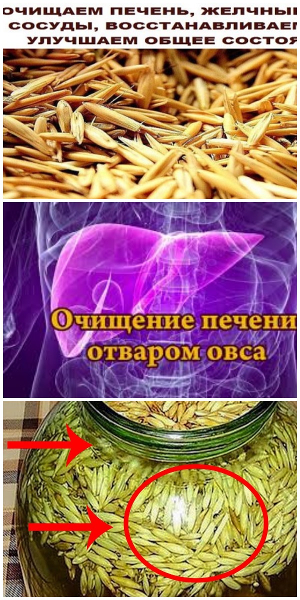 ОЧИЩАЕМ ПЕЧЕНЬ, ЖЕЛЧНЫЕ ПУТИ, СОСУДЫ, ВОССТАНАВЛИВАЕМ СОН, УЛУЧШАЕМ ОБЩЕЕ СОСТОЯНИЕ ОЧИЩАЕМ ПЕЧЕНЬ, ЖЕЛЧНЫЕ ПУТИ, СОСУДЫ, ВОССТАНАВЛИВАЕМ СОН, УЛУЧШАЕМ ОБЩЕЕ СОСТОЯНИЕ