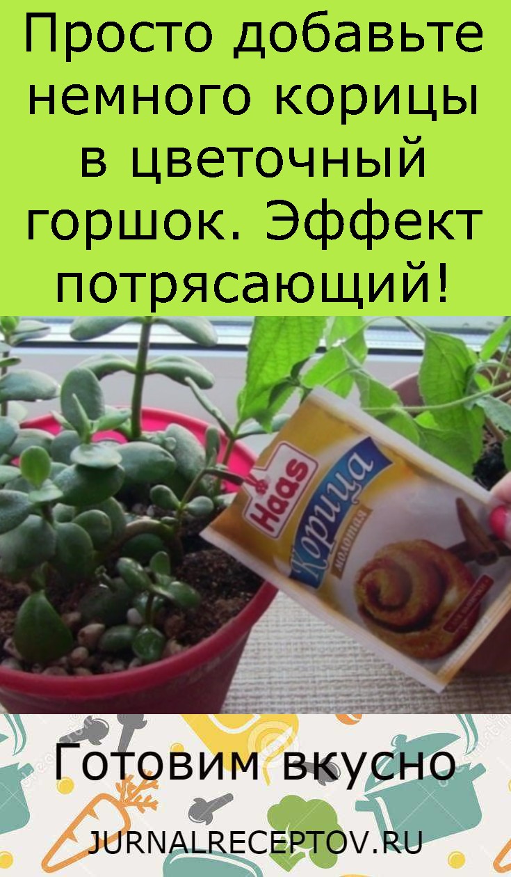 Просто добавьте немного корицы в цветочный горшок. Эффект потрясающий!
