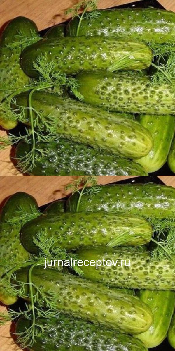 Соленые огурцы как, из бочки. Соленые огурцы как, из бочки.
