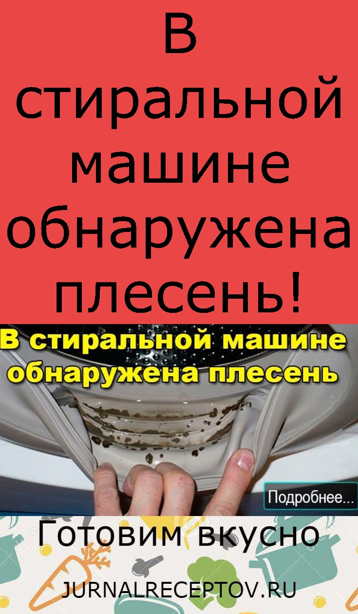 В стиральной машине обнаружена плесень!