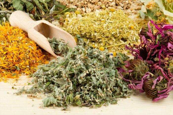 20 натуральных продуктов, уничтожающих паразиты и грибки в организме. 20 натуральных продуктов, уничтожающих паразиты и грибки в организме.