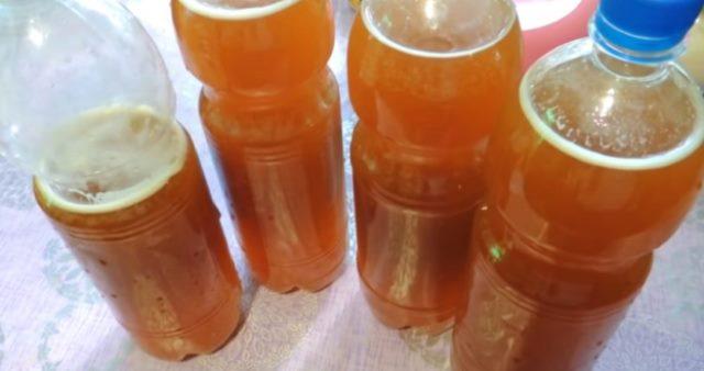 Изумительный, полезный и освежающий квас из цикория прекрасно утоляет жажду в знойную погоду!