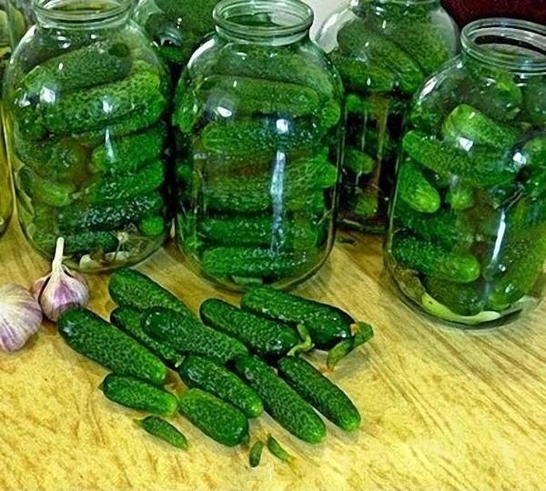 Огурцы «Злодейские» — и хрустящие, и ароматные и очень вкусные! Зимой будет так приятно похрустеть! Огурцы «Злодейские» — и хрустящие, и ароматные и очень вкусные! Зимой будет так приятно похрустеть!