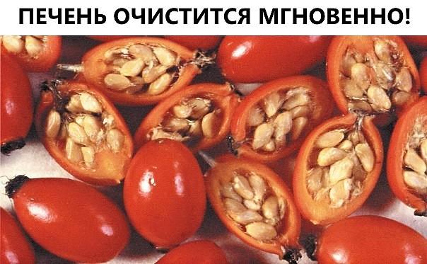 Печень очистится мгновенно! Печень очистится мгновенно!