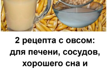 2 рецепта с овсом: для печени, сосудов, хорошего сна и оздоровления в целом